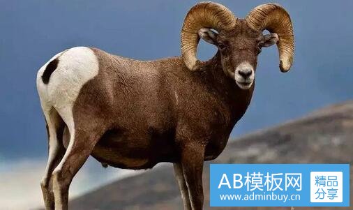 三龙奥大厦坏了济南风水