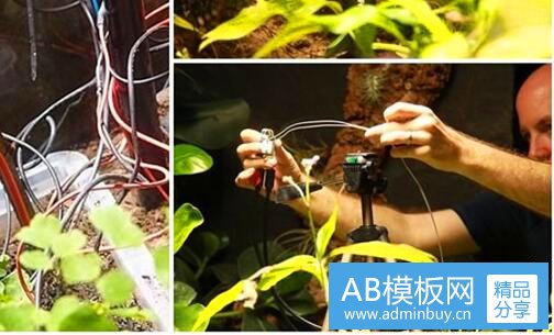 三微波炉用久了有什么危害