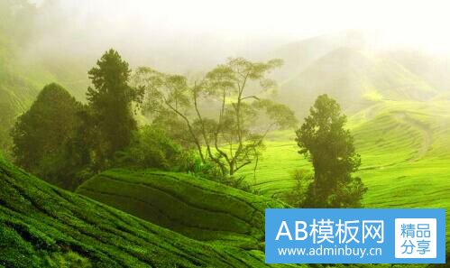 三危险心灵结局