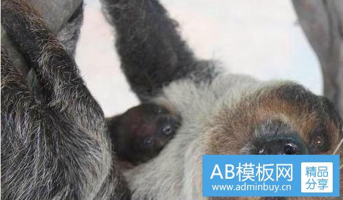 一网站流量