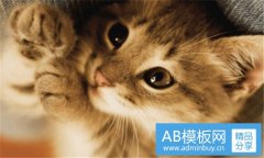 柯暮卿-cv糖醋排骨出柜微博