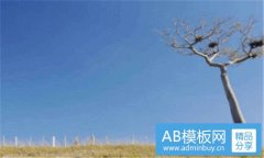 明月东升-明月东升txt下载