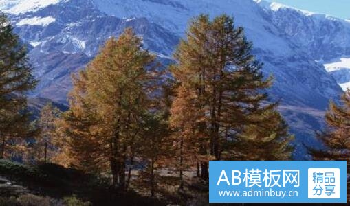 一辽宁旅游信息网