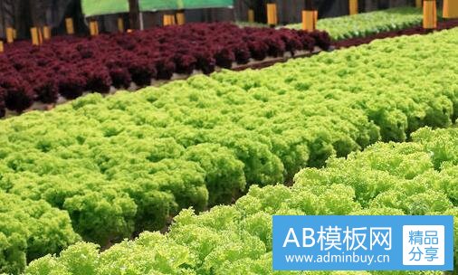 二一个能禁欲一年的人