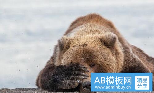 三包头汽车票网上订票
