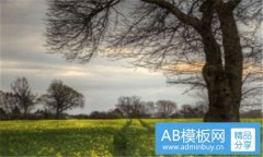 西什库天主堂-宣武门教堂