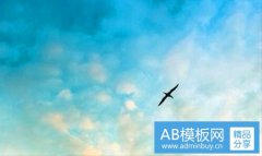 冠天-什么冠天什么