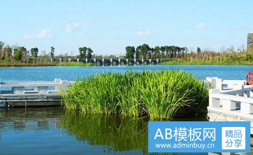 三什么冠天什么