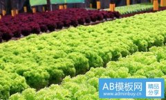 q信-q信是什么