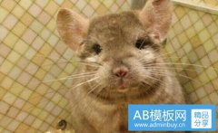 激光冰点脱毛-激光和冰点脱唇毛的区别