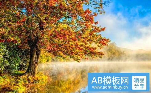 二直观复星官网
