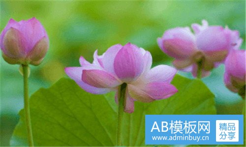 一建筑安全生产管理