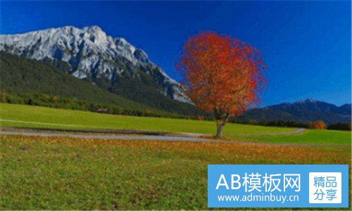 三安全员
