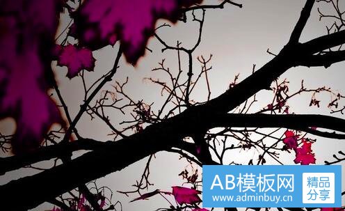 一云海