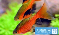 广州八景-广州八景是哪八景