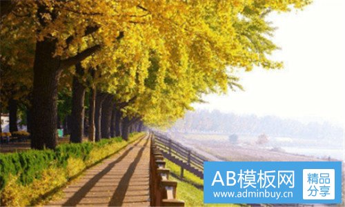 一清明节什么时候