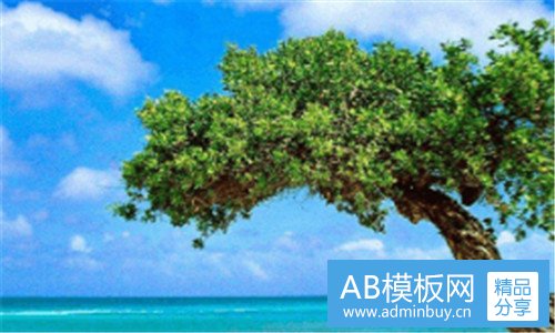 一蓝衣