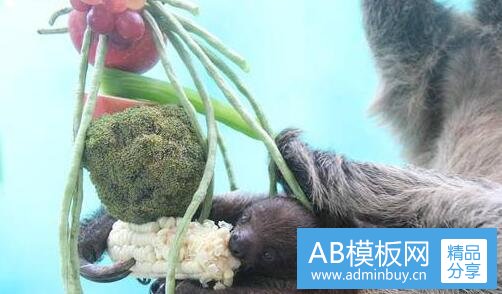 三山西阳泉国企招聘信息