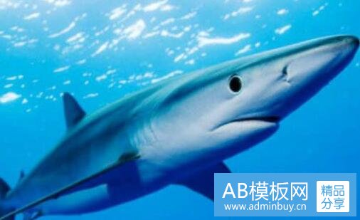 三湾流g550多少钱