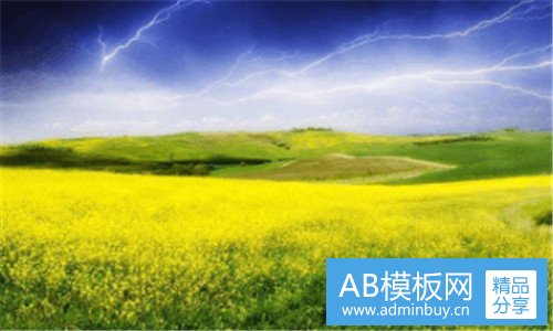 二尘埃3方向盘设置参数