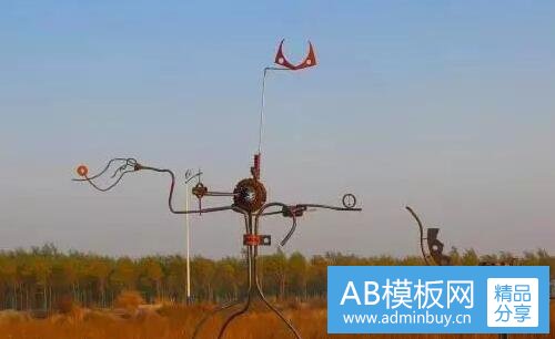 三长春花结种子图片