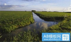 帝舵-帝舵适合什么档次的人