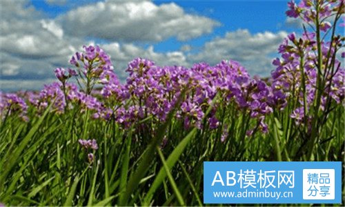 二合作市简介