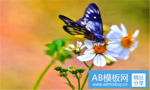 一中材国际