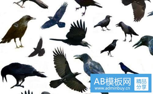 三为什么矿盐比海盐便宜