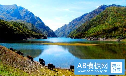 一沂水县