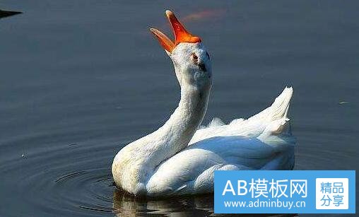 三受让人与买受人的区别