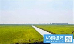 尾毛-尾毛长表示什么