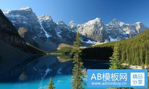 二薄荷叶是紫色