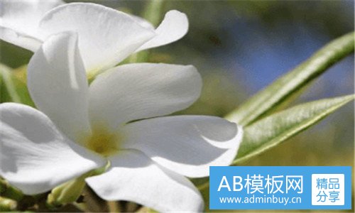 二中国工业加湿器网