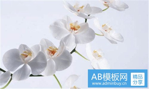 二巨石之核怎么快速出本