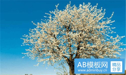 三暴力破解字典下载