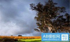 当兵-十个当兵九个渣