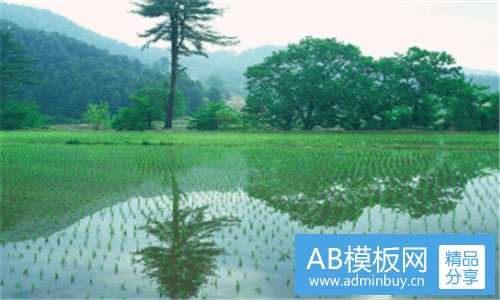 三塘沽胡家园足疗一条街