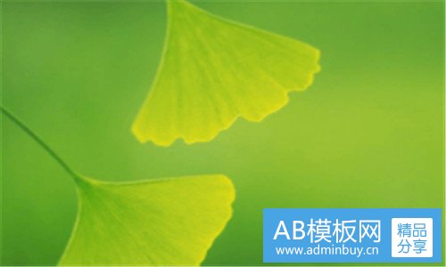 二中国康华公司