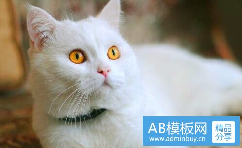 二512大地震乐山大佛哭了