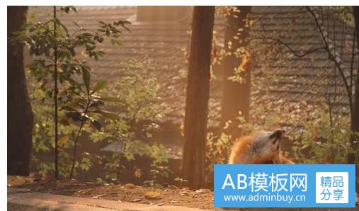 二重庆的湿度一般多少正常