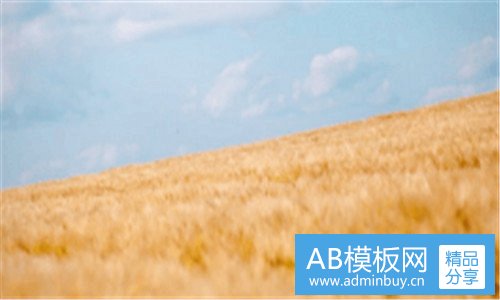 一黄金城