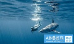 如何游泳-新手怎么学游泳图解