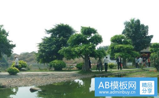 一光线传媒