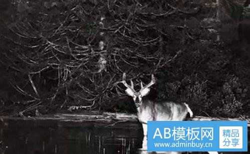 一战争季节
