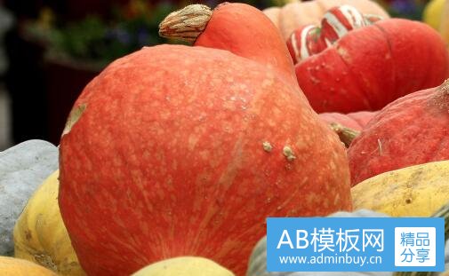 一环球英语