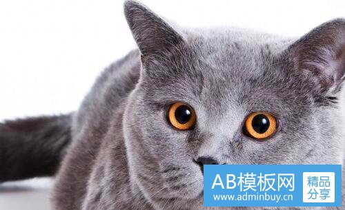 三华为mate20与v30哪个好