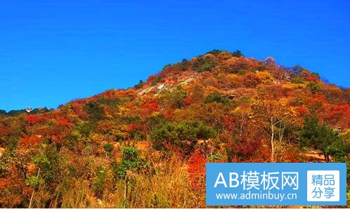 一重庆万和