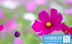 肥东地震-四大地震剩一个