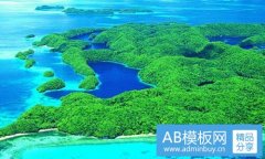 卫仕-中国十大毒狗粮名单